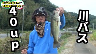 誰でも投げれば100匹釣れる夢の島行ってきた＃１０ バス釣り Bass fishing in Japan [upl. by Rambow]