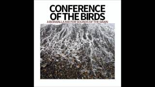 Conference Of The Birds – A Boxwalla Mix for Sounds Of The Dawn [upl. by Moon374]