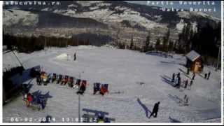 Partia Veverita live webcam Vatra Dornei [upl. by Aiuqet]