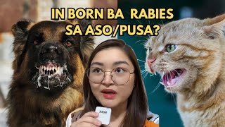 IN BORN BA SA ASOPUSA ANG RABIES [upl. by Mafalda]