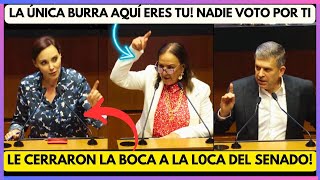 EL BURRO HABLANDO DE OREJAS LE TOCO SU PAL1ZA A TELLEZ EN EL SENADO 4t amlo morena [upl. by Aciamaj]