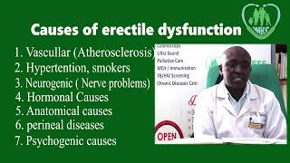 Cure Your ED A Guide to Erectile Dysfunction Causes amp Remedies [upl. by Netsriik]