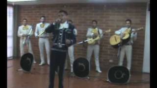 Mariachis Bogota Precios [upl. by Skrap]