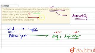 The following statements describe the characters of windpollinated plants Which [upl. by Akinahc111]