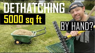 Dethatching by Hand  Things to consider and tips to follow using dethatching rake only [upl. by Alexa]