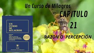 Audio libro “Un Curso de Milagros” UCDM [upl. by Illac576]