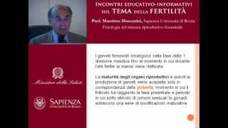 Fisiologia del sistema riproduttivo femminile [upl. by Iasi]