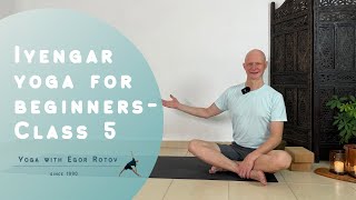 Iyengar yoga for beginners  Class 5 [upl. by Corrie550]