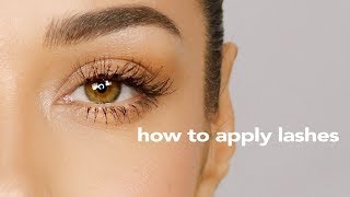 How To Apply Individual Lashes  Easy Tutorial for Beginners  Eman [upl. by Hoi728]