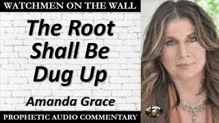 “The Root Shall Be Dug Up ” – Powerful Prophetic Encouragement from Amanda Grace [upl. by Vic]