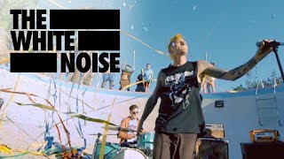 The White Noise  I Lost My Mind In California Official Music Video [upl. by Kendre]