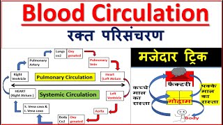 Blood circulation  Systemic Circulation  Pulmonary Circulation  Circulatory System रक्त परिसंचरण [upl. by Eelrihs]