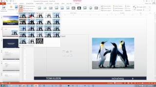 PowerPoint 20132016 Inserting and Editing Pictures [upl. by Gerladina270]