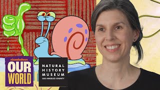 Science of SpongeBob Super Slugs and Snails [upl. by Bernetta]