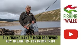 Fly Fishing NantyMoch Reservoir Wales  HOW TO bank fish for WILD BROWN TROUT using Wet Flies [upl. by Pantin]