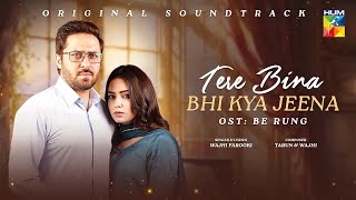 Tere Bina bhi kya jeena  OST Full song  singer  wajhi farooki  Pakistani drama  2024  New 🥰❤️ [upl. by Laura]