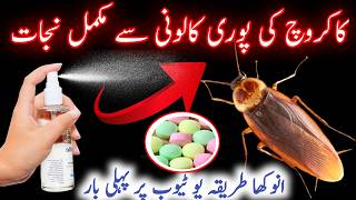 4 Effective Ways To Kill Cockroaches Home Remedies To Get Rid Of CockroachesKitchen Tips [upl. by Hsemin]