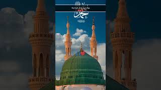 Maula Ya Salli Wa Sallim Da Iman AabadanArbic Beautyfull Naatnaat youtubeshorts nasheed arbic [upl. by Oemac881]