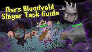 OSRS Bloodveld Slayer Guide Using the Catacombs of Kourend  Slayer Made Easy [upl. by Aphrodite]