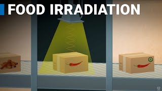 Using Nuclear Science in Food Irradiation [upl. by Seabrook]