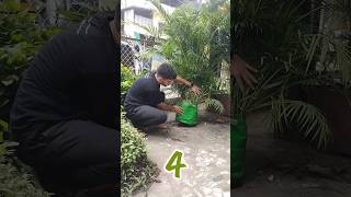 Magical homemade fertilizers  झूम उठेंगे पौधे बस ये जादूई चीजें डाल दो🥛🌿shorts viral gardening [upl. by Nalla]