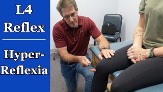 L4 Hyperreflexia  Deep Tendon Reflex [upl. by Neltiak]