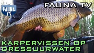 Fauna TV  Karpervissen op dressuurwater [upl. by Ailin990]