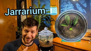 Introducing my Jarrarium [upl. by Trebron]