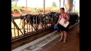 Condomínio de agroenergia Ajuricaba é destaque no Globo Rural [upl. by Aileda50]