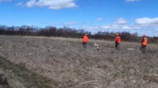 Heartland Lodge Upland Hunt [upl. by Bedwell]