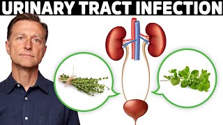 1 Best Remedy for a UTI Urinary Tract Infection [upl. by Larrej]