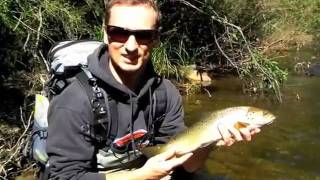 Victorian high country stream Trout Fishing Victoria [upl. by Uot]