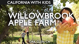 Apple Picking At Willowbrook Apple Farm In Oak Glen CA [upl. by Rehteh]