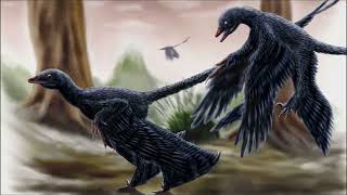 Microraptor Dinosaurs 🦅 [upl. by Sonitnatsnoc]