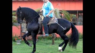 FILIBERTO RUBIO PASEANDO A CABALLO [upl. by Franky]