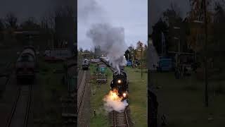 Dampflokomotive 52 81548 aus dem Eisenbahnmuseum LeipzigPlagwitz  trainspotting dampflok train [upl. by Nnairak733]