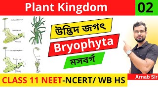 Plant Kingdom 02 in Bengali  Bryophyta  Class 11 NEET Biology  NCERTCBSCWBCHSE [upl. by Nomannic]