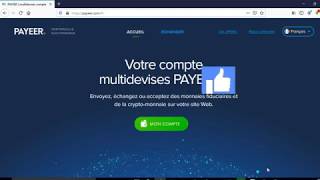 COMMENT APPROVISIONNER SON COMPTE PAYEER A PARTIR DE SA CARTE VISA [upl. by Edwyna]