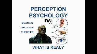 The Psychology of Perception  Simplest Explanation Ever [upl. by Ynove]