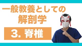 放射線技師が解説！一般教養としての解剖学【脊椎編】 [upl. by Miran]