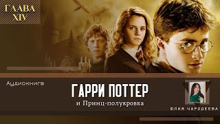 Гарри Поттер и Принцполукровка 14 глава  Феликс Фелицис  Аудиоспектакль  Аудиокнига ТОП [upl. by Hullda843]