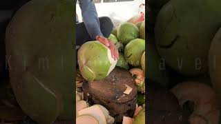 Awesome Fresh Coconut Peeling Skills shorts coconut streetfood experiment fruit asmr health [upl. by Nonnahsed]