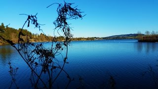 Allgäu Lechbruck See Landscape Sea 4K Germany [upl. by Jeri]