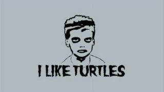 I Like Turtles Dubstep Remix [upl. by Adeys]