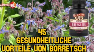 45 gesundheitliche Vorteile von Borretsch [upl. by Lerual]