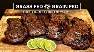 GRASSFED vs GRAINFED steak experiment which is best [upl. by Anires533]