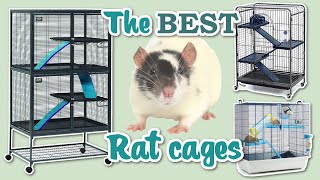 What cages are best for Rats [upl. by Candi624]