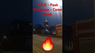 ADX  Paak Anderson  Come Down [upl. by Gradeigh]