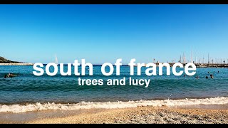 lofi aesthetic playlist south of france trees and lucy [upl. by Jara]