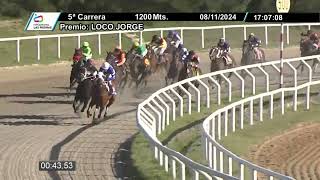 241108 C05  RESPINGONA  HIPODROMO LAS PIEDRAS [upl. by Ebanreb415]